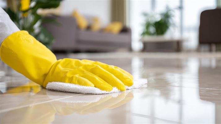 Professionel rengøring i Odense - en guide til skinnende resultater